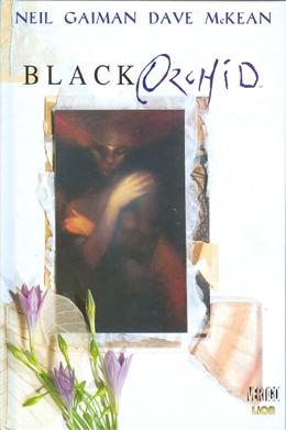 Cover:
Uitvergroten
