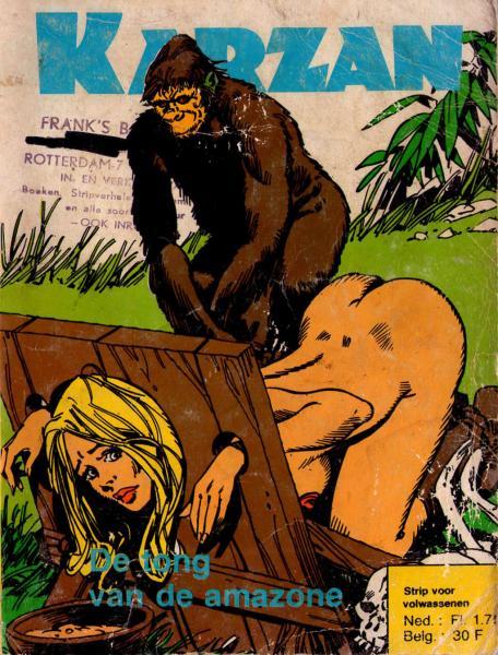 Cover:
Uitvergroten
