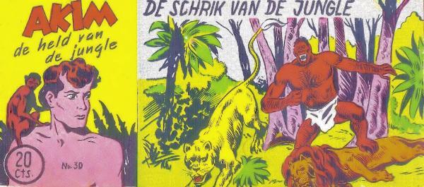 Cover:
Uitvergroten
